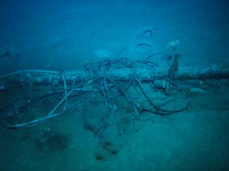 Foremast below crows nest including wiring and light